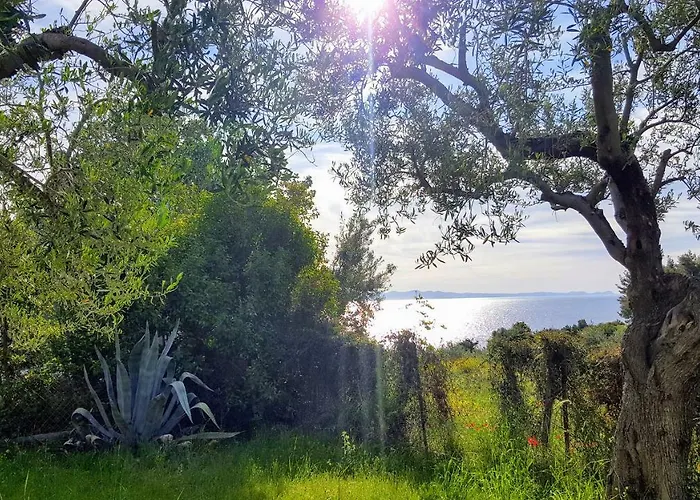 Apartament Amazing Sea View Loft,